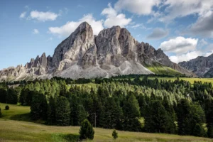 Een uitgestrekt berglandschap met bossen en hoge bergtoppen – beeld op de pagina Wat klanten zeggen.